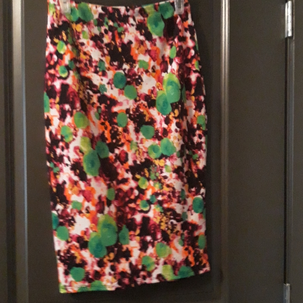 Multicolored Pencil Skirt